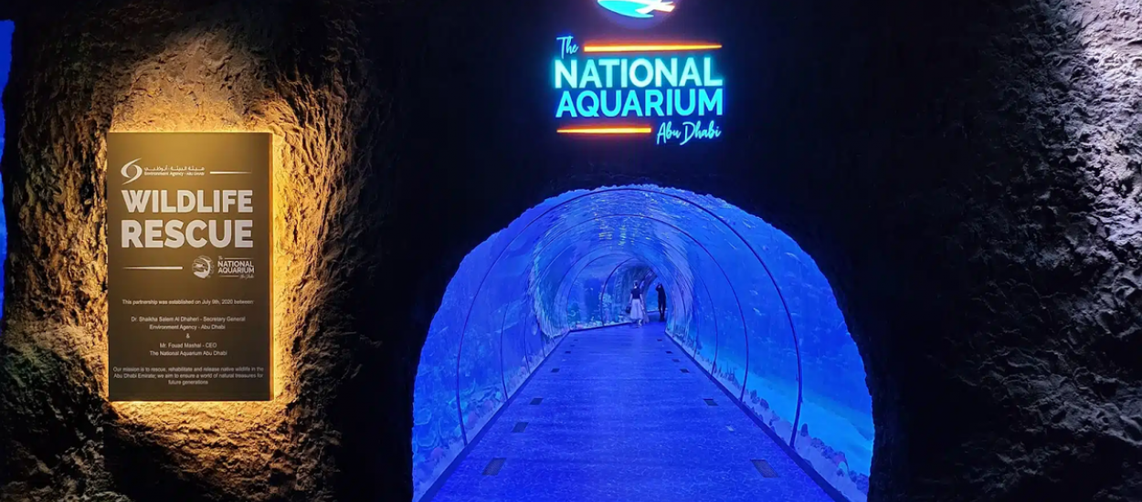 The National Aquarium Abu Dhabi