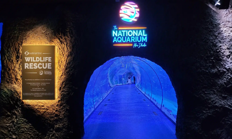 The National Aquarium Abu Dhabi