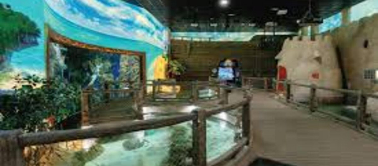 The National Aquarium Abu Dhabi