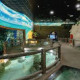 The National Aquarium Abu Dhabi